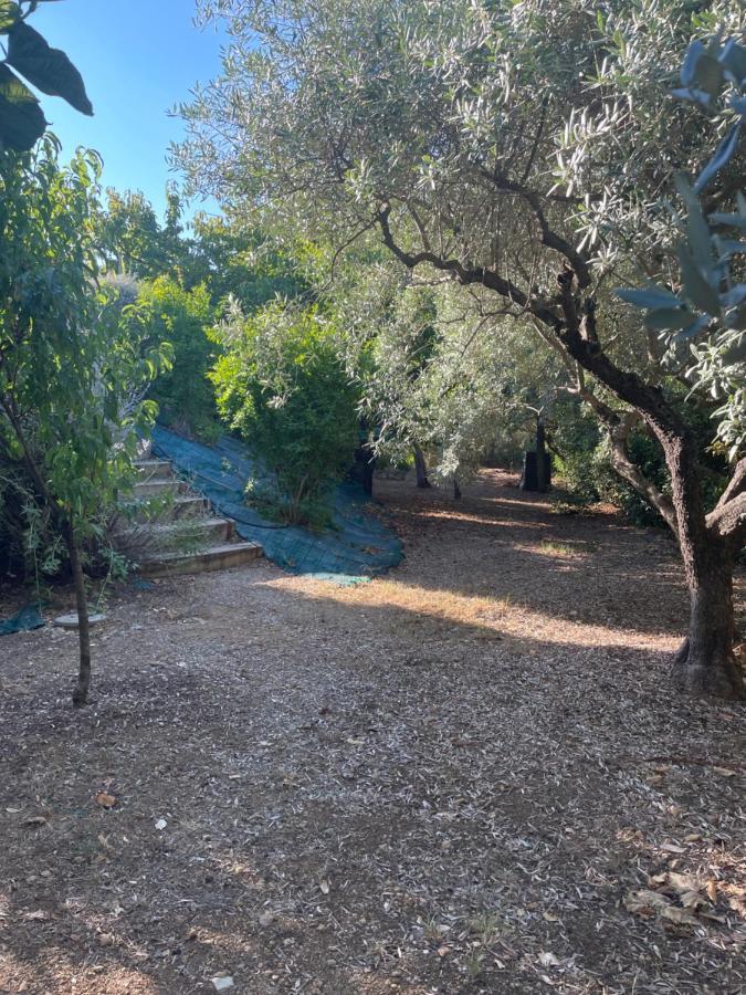 Villa 180 M2 Piscine Draguignan Eksteriør billede